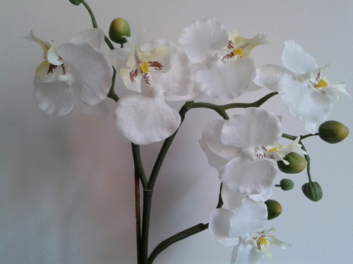 Vánoční orchidej v kožichu (49cm) — foto 4