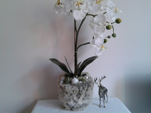 Vánoční orchidej v kožichu (49cm) — foto 5
