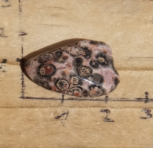 Jaspis leopardí D7103 — foto 3