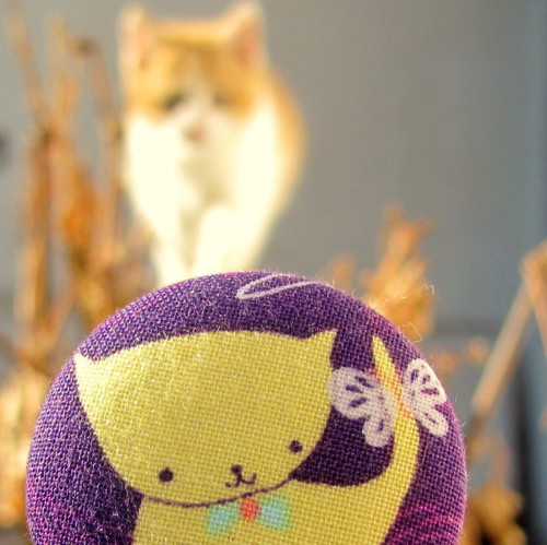 Knoflík kočička — foto 4