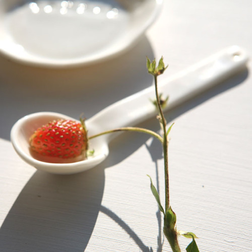 Lžička (porcelán) — foto 5