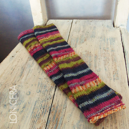 Dozrálo ovoce: návleky — foto 5