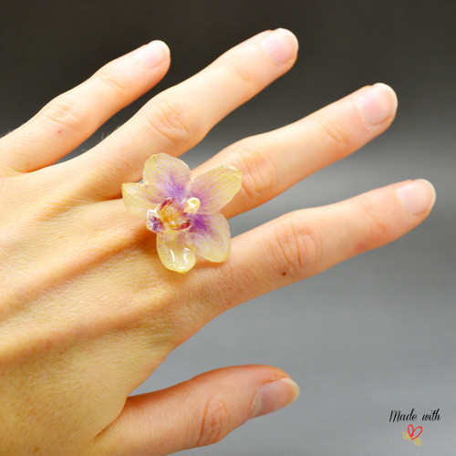Phalaenopsis malá PRSTÝNEK — foto 6