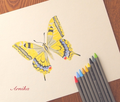 Butterfly III — foto 2
