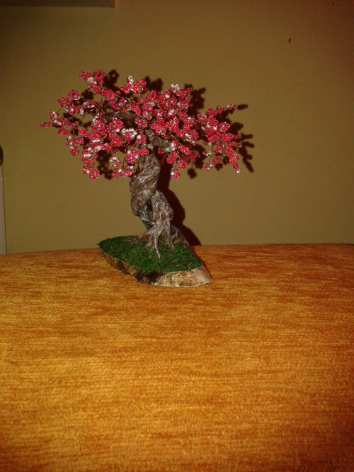 Sakura rosa — foto 2