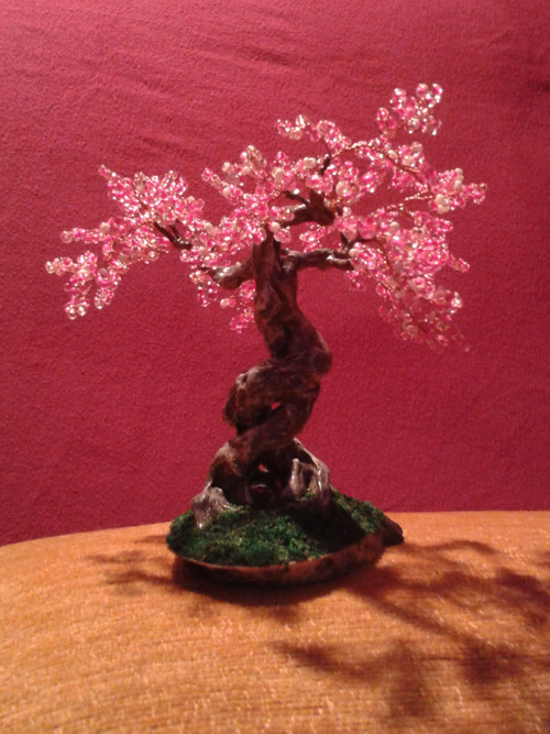 Sakura rosa — foto 3