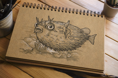Inktober 2016/13 Ježík — foto 2