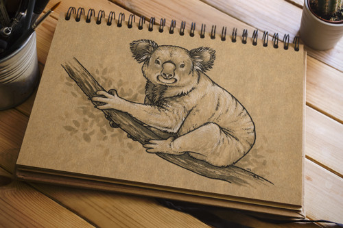 Inktober 2016/15 Koala — foto 2