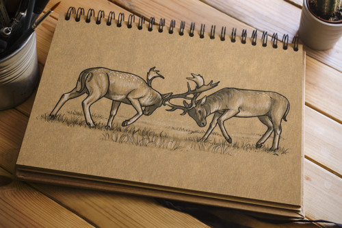 Inktober 2016/17 Jeleni — foto 2