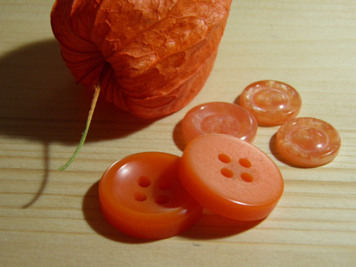 Knoflíky — foto 2