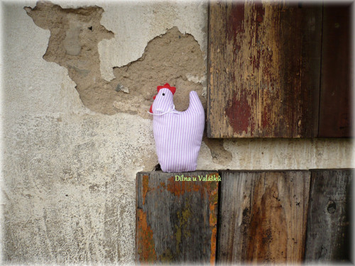 Slepička kuchyňská — foto 2