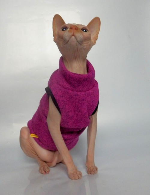 Svetr pro sphynxe — foto 4
