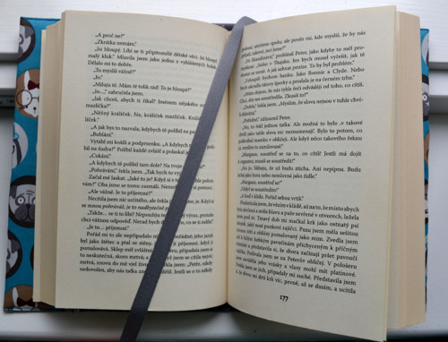 Obal Sherlock nebo Hercule? :) — foto 4
