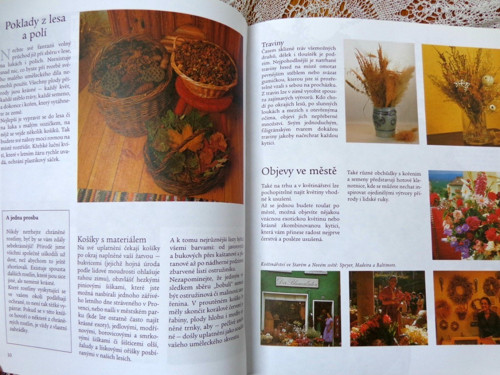 Suché květiny — foto 2