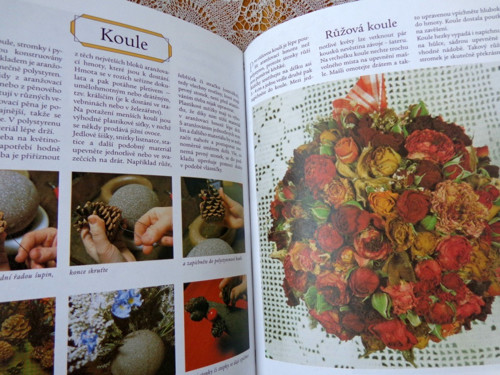 Suché květiny — foto 5