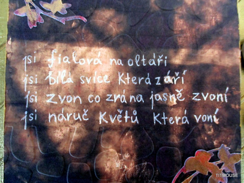 Báseň na zdi IV. — foto 4