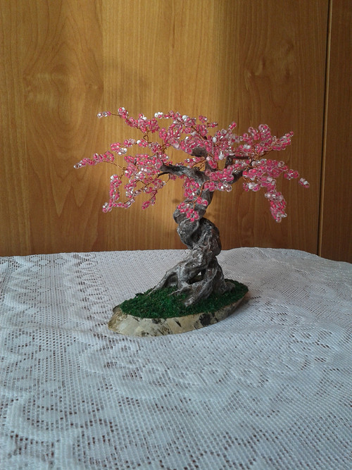 Sakura rosa — foto 4