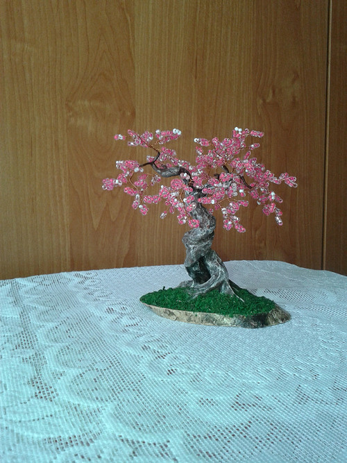 Sakura rosa — foto 5