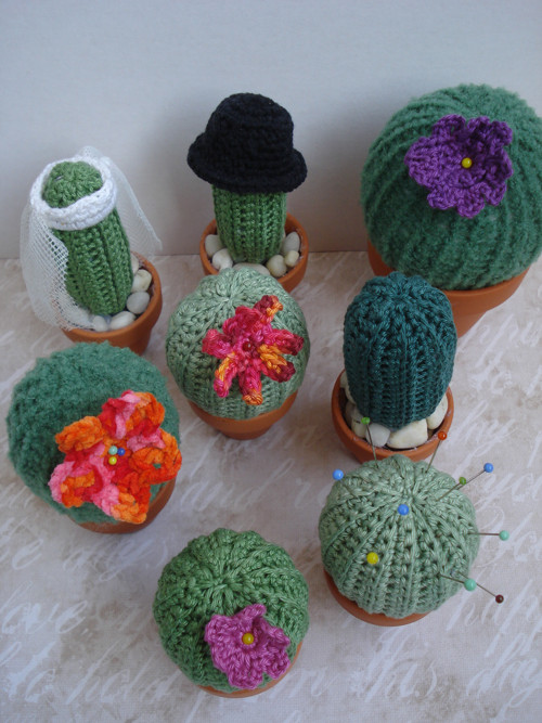 Kaktus little princess — foto 5