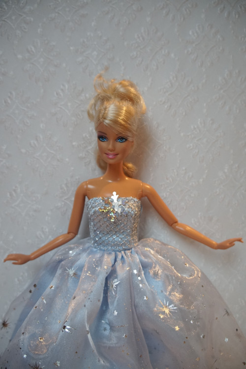 Sněhová vločka - princezna — foto 2