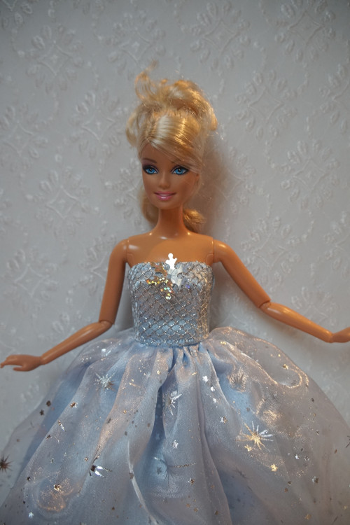 Sněhová vločka - princezna — foto 5
