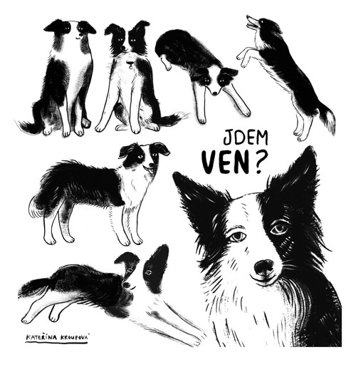 Jdem ven ? — foto 2