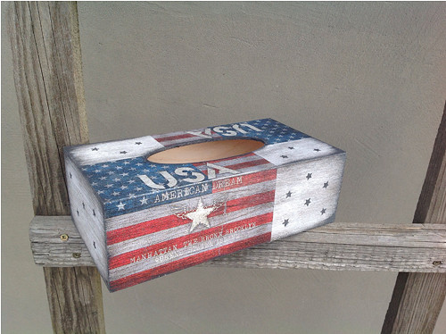 Krabička na kapesníčky - USA — foto 6