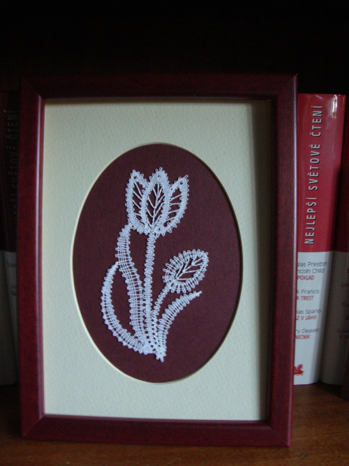 Narciska a tulipán — foto 2