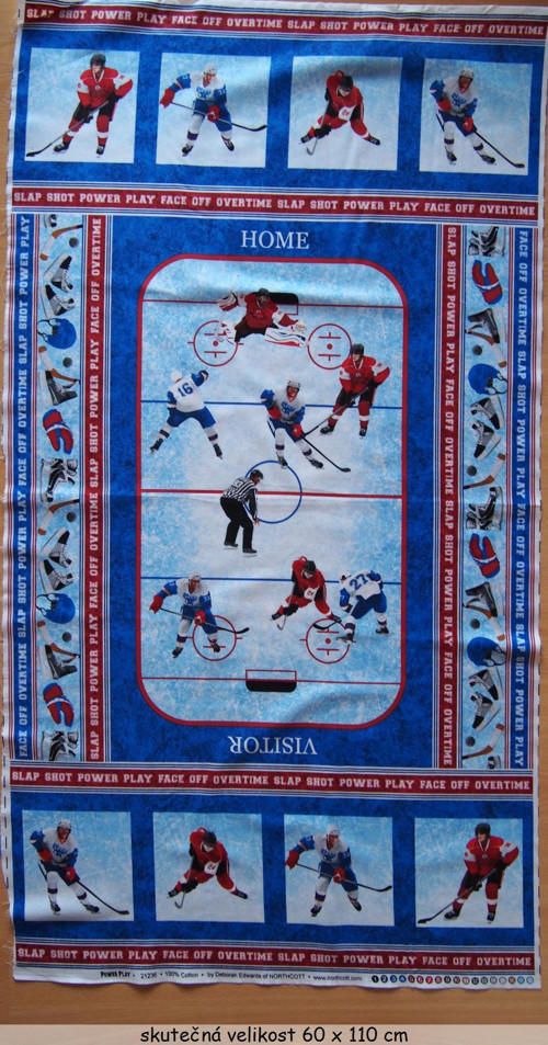 Hokej - panel — foto 2