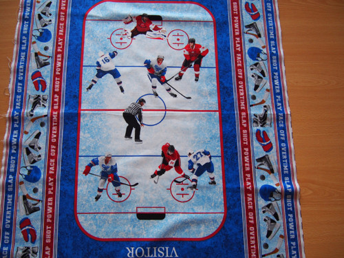 Hokej - panel — foto 3