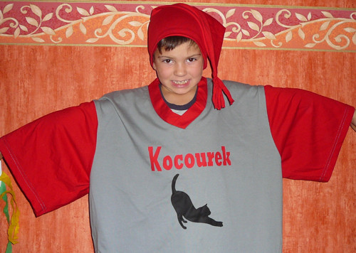 Pro kocourka na spaní — foto 2