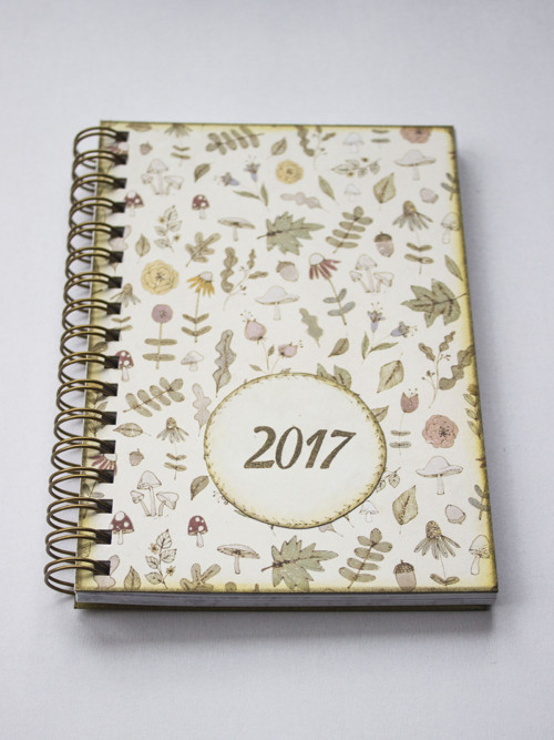 Samá bylinka - DIÁŘ 2017 — foto 2