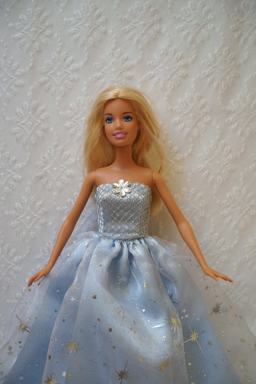 Sněhová vločka - princezna — foto 2