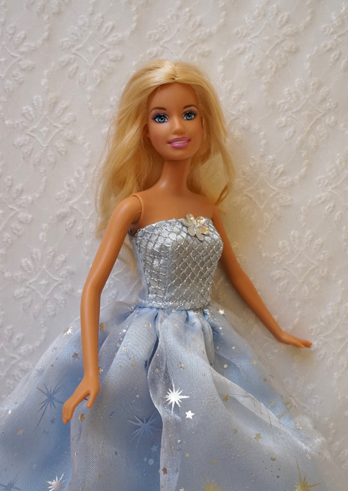 Sněhová vločka - princezna — foto 4