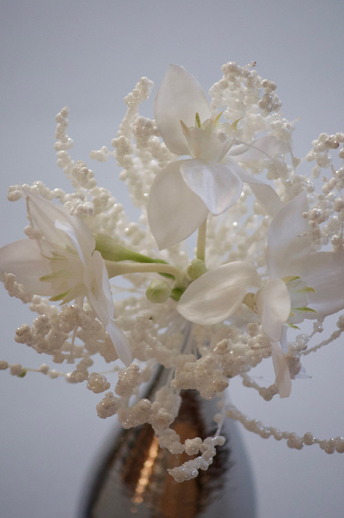 Dekorace Eucharis.Nest — foto 2