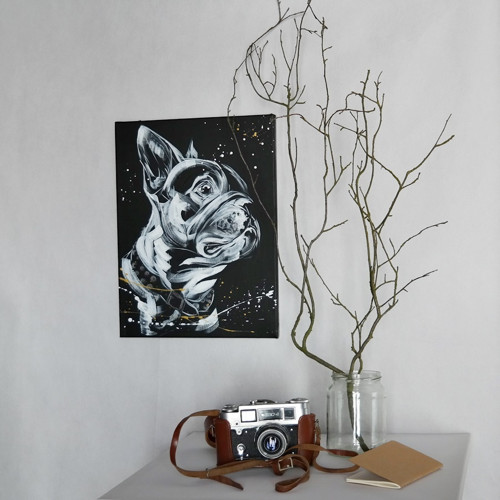 Frenchie fešák....obraz — foto 3