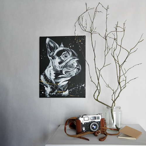 Frenchie fešák....obraz — foto 5