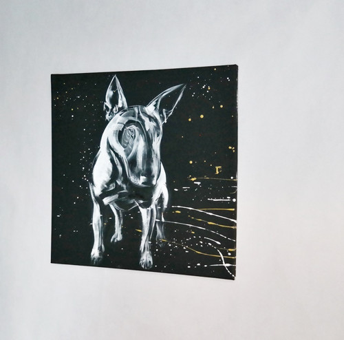 Bull....obraz — foto 3