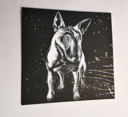 Bull....obraz — foto 4