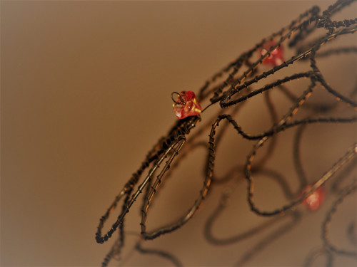 Sakura - stínidlo — foto 2
