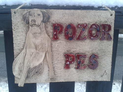 Pozor pes — foto 5