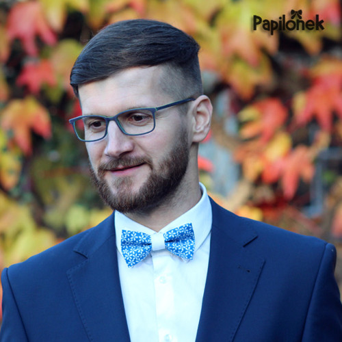 Pánský motýlek - Papilónekmodrásek II. — foto 3