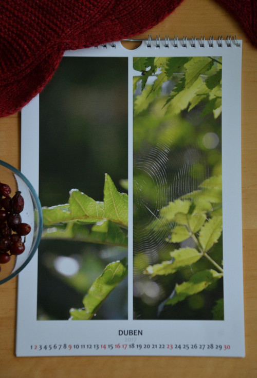 Fotokalendář - bílý — foto 3