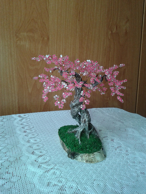 Sakura rosa — foto 6