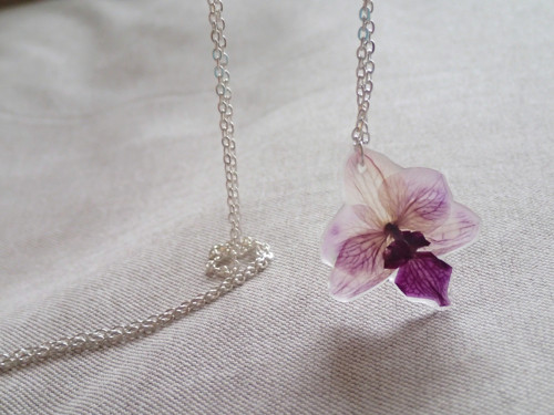Orchidea — foto 3