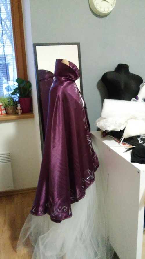 Plášťpro princeznu...rezervace — foto 2