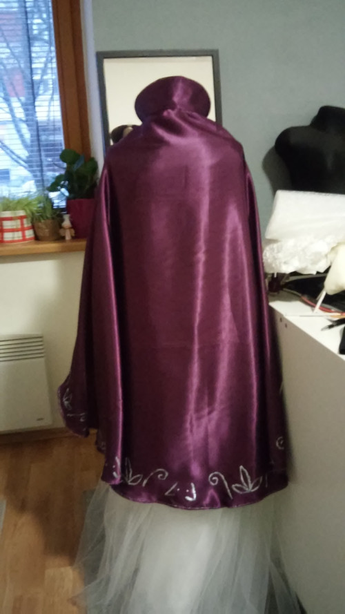 Plášťpro princeznu...rezervace — foto 5