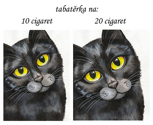 Tabatěrka - černý kocour — foto 3