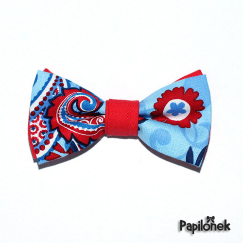 Pánský motýlek - Papilónek bláznivý — foto 4