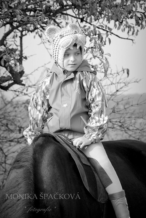 Nástěnný kalendář PRO ALIHO! — foto 6